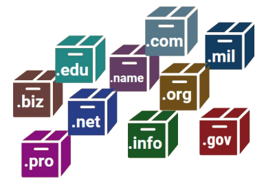 Types of Domain